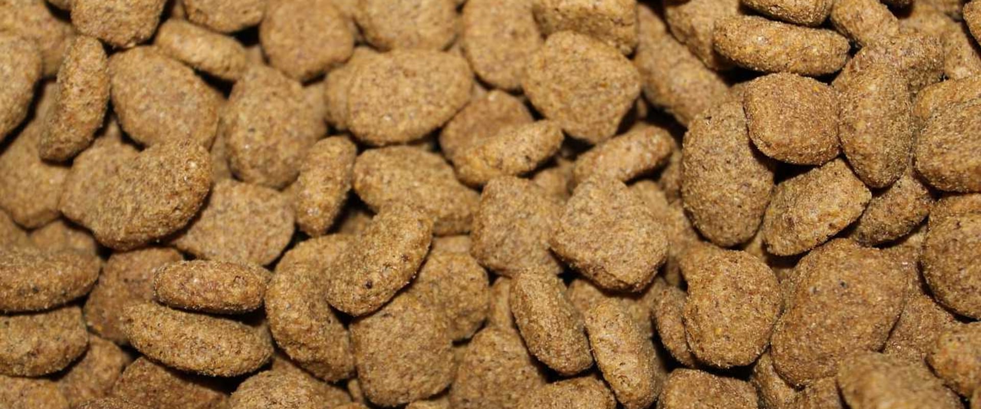 Where to Find Pet Food Banks in Louisiana