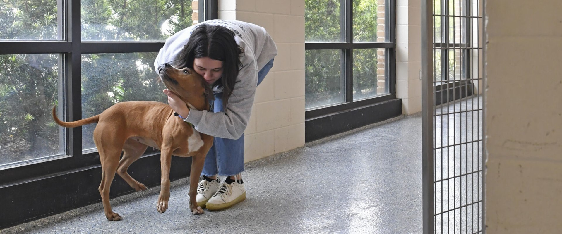 Adopting a Pet from a Louisiana Shelter: What You Need to Know