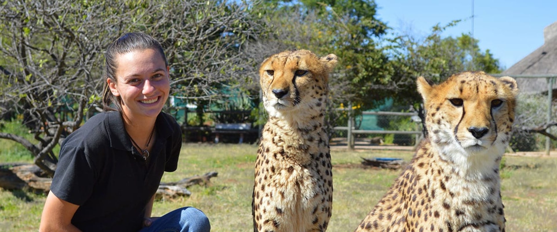 Where Can Wildlife Rehabilitators Make the Most Money?