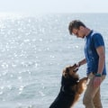 Pet-Friendly Parks and Beaches in Louisiana: Enjoy the Sunrises and Sunsets with Your Pup