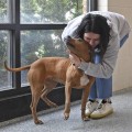 Adopting a Pet from a Louisiana Shelter: What You Need to Know