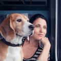 Pet-Friendly Public Transportation Options in Louisiana