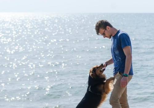 Pet-Friendly Parks and Beaches in Louisiana: Enjoy the Sunrises and Sunsets with Your Pup