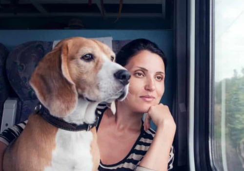 Pet-Friendly Public Transportation Options in Louisiana